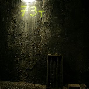 73T