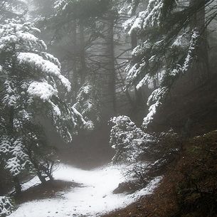A brilliant snowy point ...