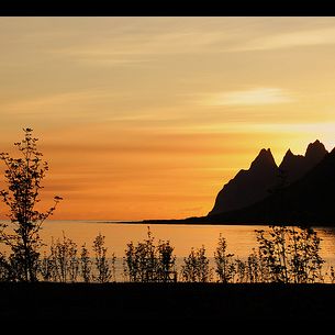 A new day dawning (explorede)