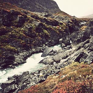 A way through the landscape