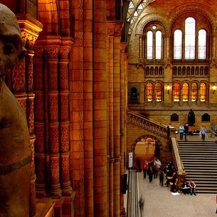 Animal Planet in London Natural History Museum