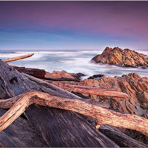 Arthur River (iii), Tasmania, Australia