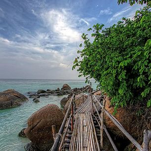 Bamboo Path
