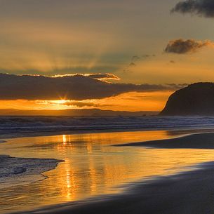 Beach fire