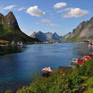 Beautiful Reine