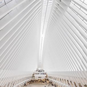 Cathedral of Light