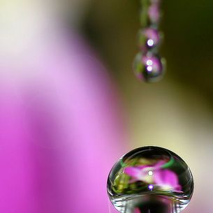 ~Diamond Drop~