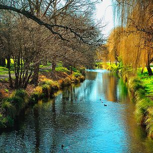 Early Spring on the Avon