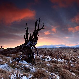 East Mealour Dawn