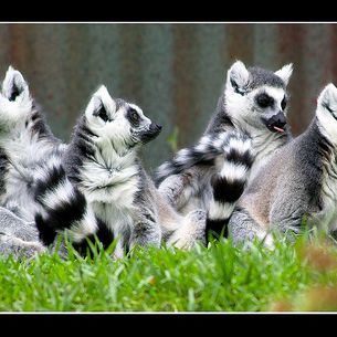 Family Portrait