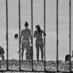 FencedBathingBeauties