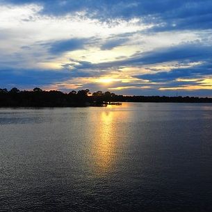 Florida Gold