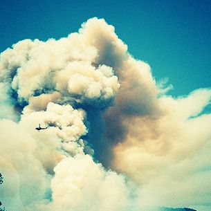 ForestFire