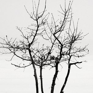 Frozen beach V