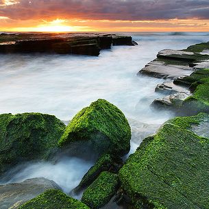 Green Rocks @ Turimetta