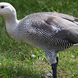 IMG_4087