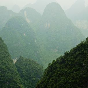 into the green