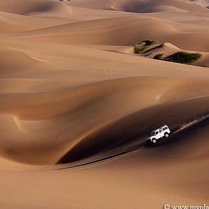 Into the wild - Namibia