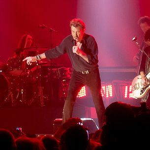 Johnny Hallyday - Rester Vivant - Bercy, Paris (2015)