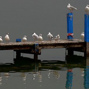Lac d Annecy