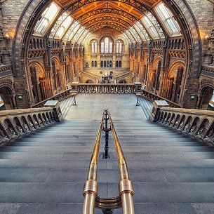 London - Natural History Museum