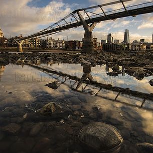 Millennium Reflections