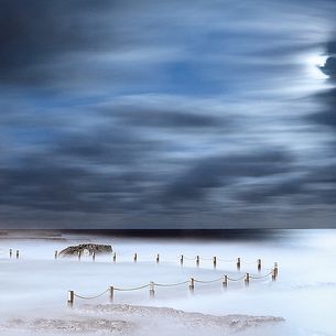 Moon Light