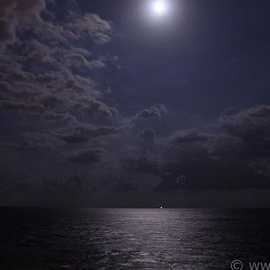 Moonlight