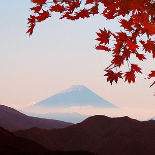 Mt. Fuji of autumn