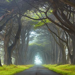 Myst - Point Reyes National Seashore, California