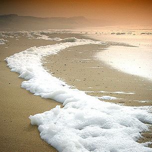 Nature . Beach (Crémeux)