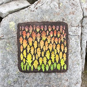Oak Leaf Colour Square