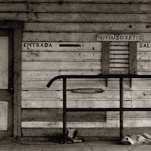 Perro y Puerta en Sepia/Dog and Door in Sepia