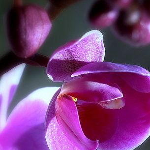 Practice Random Kindness and Senseless Acts of Beauty