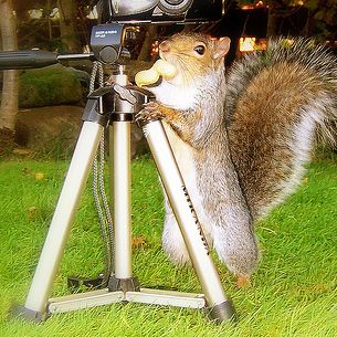 Say NUTS.........