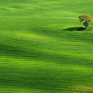 Solitude II
