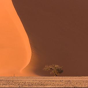 Sossusvlei (I)