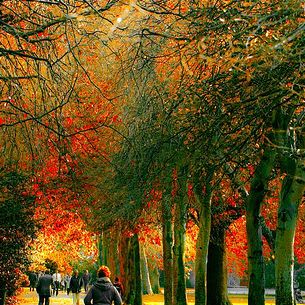 Strolling in the Green