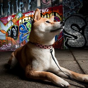 The City is Her Domain 2/52