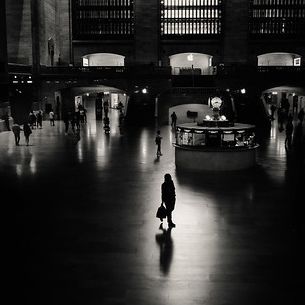 the daily commute