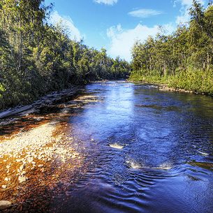 The Huon River Through the Tahune Forest, Geeveston, Tasmania :: HDR