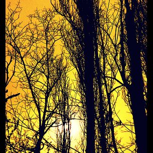 The Shadow Of Sorrow ©