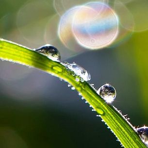 Waterdrops and bokeh