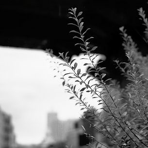 水辺。高架下。(Waterside. Underpass.)