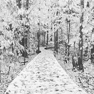 Winter Skin