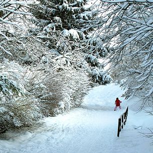 Wintertime